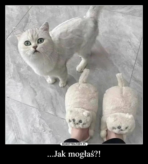 
    
...Jak mogłaś?! 