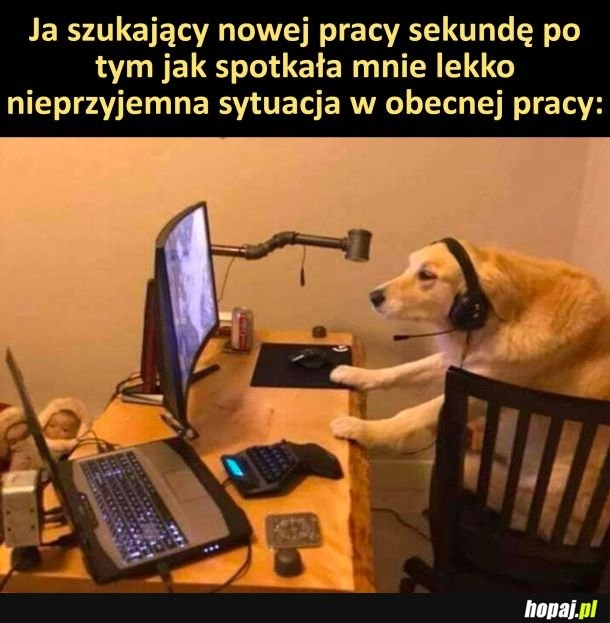 
    Ja szukający nowej pracy