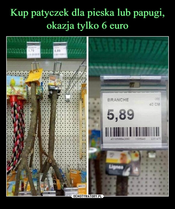 
    Kup patyczek dla pieska lub papugi, okazja tylko 6 euro 