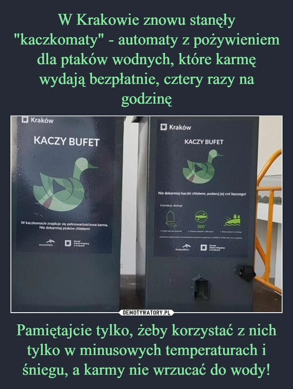 
    W Krakowie znowu stanęły "kaczkomaty" - automaty z pożywieniem dla ptaków wodnych, które karmę wydają bezpłatnie, cztery razy na godzinę Pamiętajcie tylko, żeby korzystać z nich tylko w minusowych temperaturach i śniegu, a karmy nie wrzucać do wody!