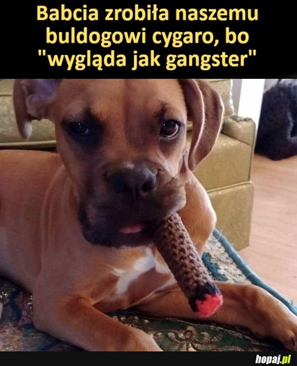 
    Gangster