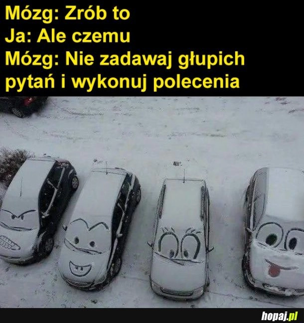 
    Mój mózg