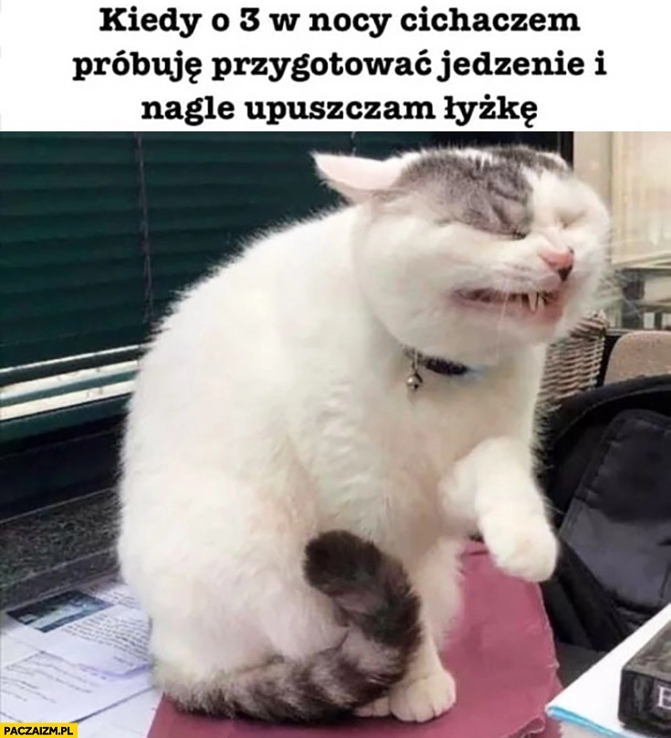 
    Kot kiedy o 3 w nocy cichaczem próbuję przygotować jedzenie i nagle upuszczam łyżkę