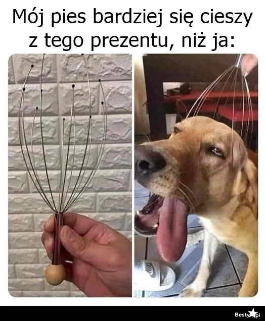 
    Nie da się ukryć 