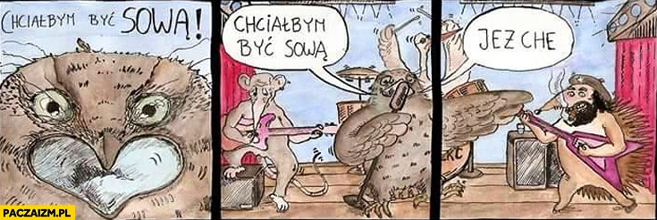 Chciałbym być sową jeż che
