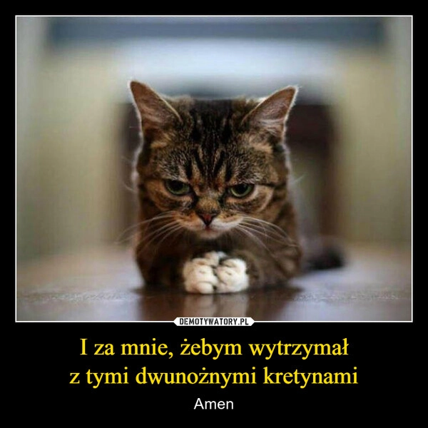 
    I za mnie, żebym wytrzymał
z tymi dwunożnymi kretynami