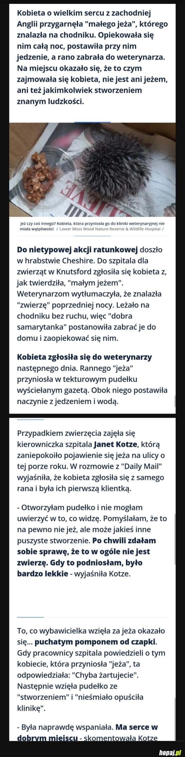 
    Na ratunek jeżowi