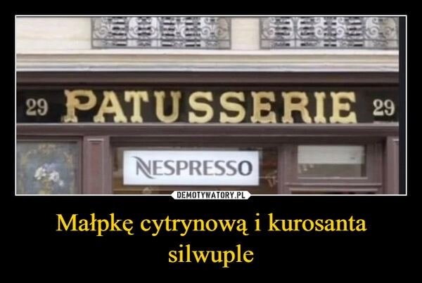 
    Małpkę cytrynową i kurosanta silwuple