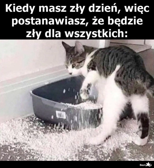 
    Jak wszyscy, to wszyscy 