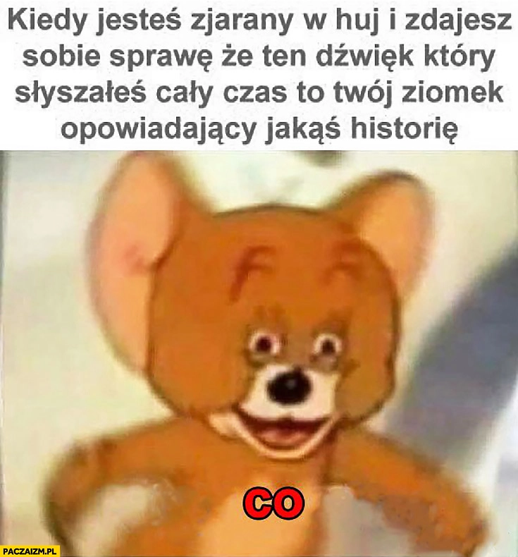 Kiedy jesteś zjarany i zdajesz sobie sprawę, że ten dźwięk który słyszałeś cały czas to Twój ziomek opowiadający jakąś historię co? Mysz mysza myszka
