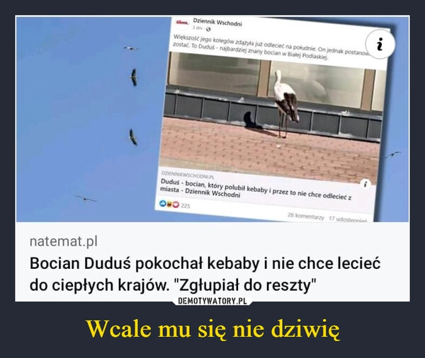 
    Wcale mu się nie dziwię