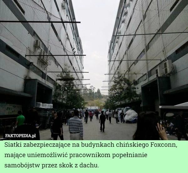 
    Siatki zabezpieczające na budynkach chińskiego Foxconn, mające uniemożliwić