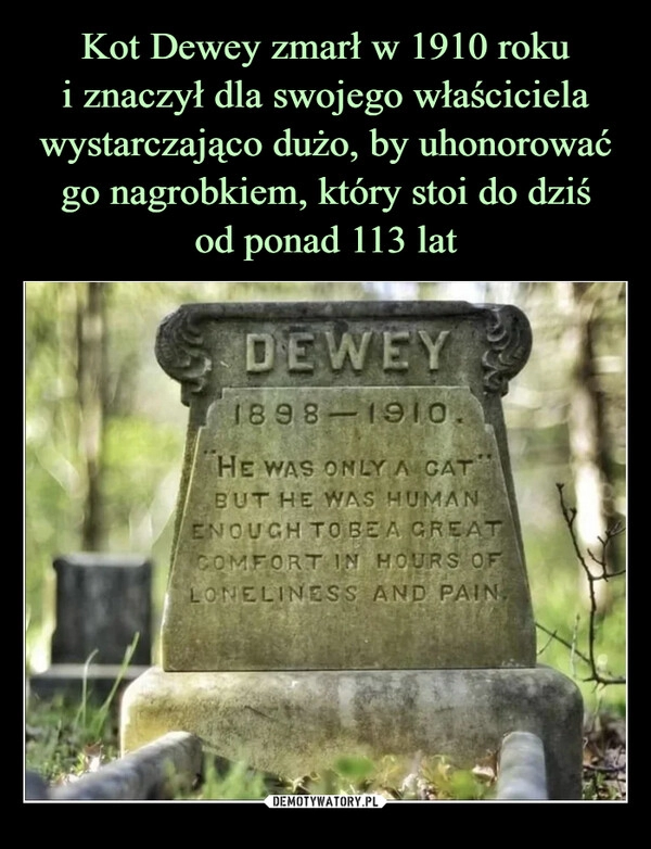 
    Kot Dewey zmarł w 1910 roku
i znaczył dla swojego właściciela wystarczająco dużo, by uhonorować go nagrobkiem, który stoi do dziś
od ponad 113 lat