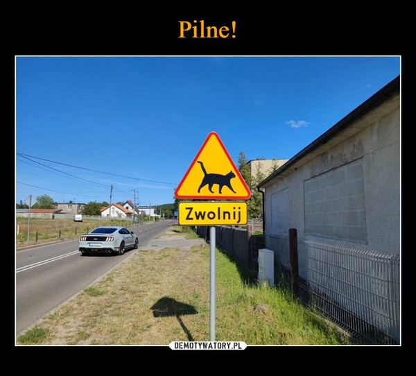 
    Pilne!