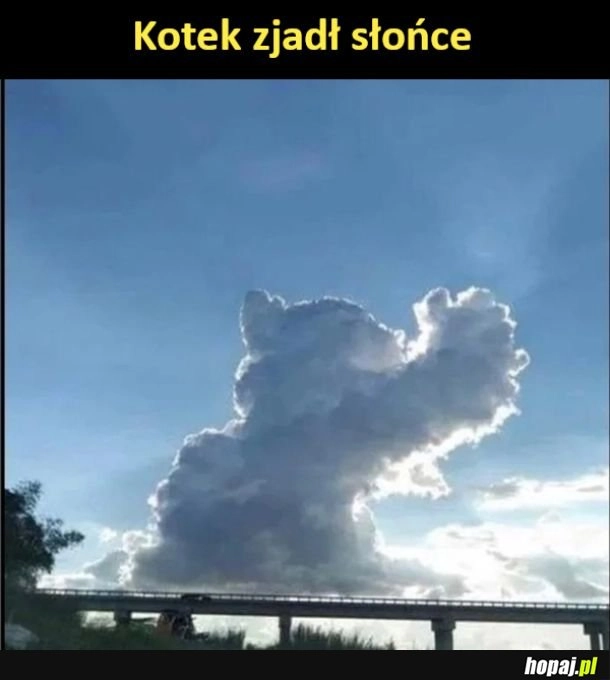
    Koteczek