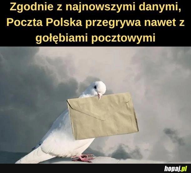 
    Poczta. 