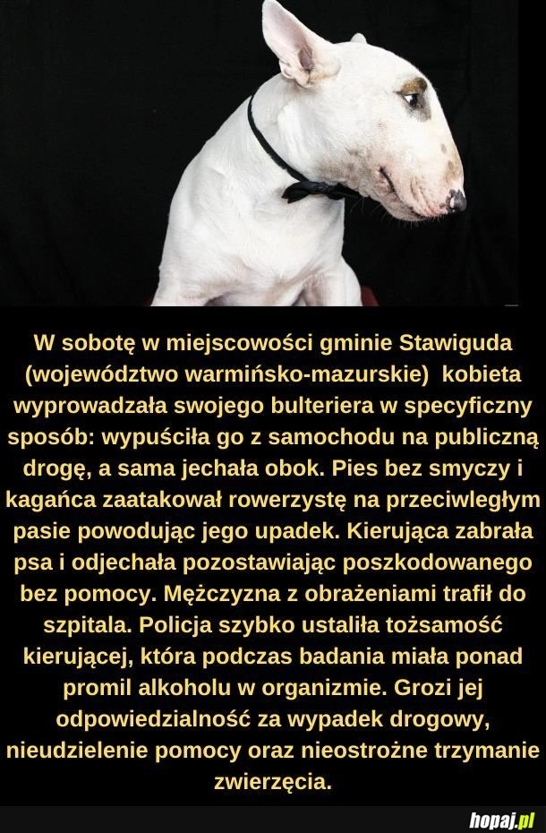 
    Mam dziwne wrażenie, że ta baba miała dużą nadwagę...