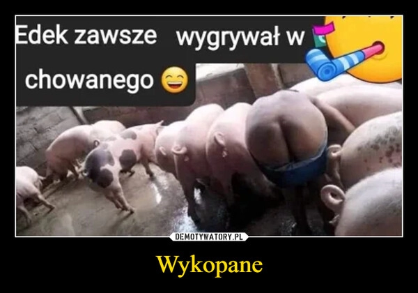 
    Wykopane 