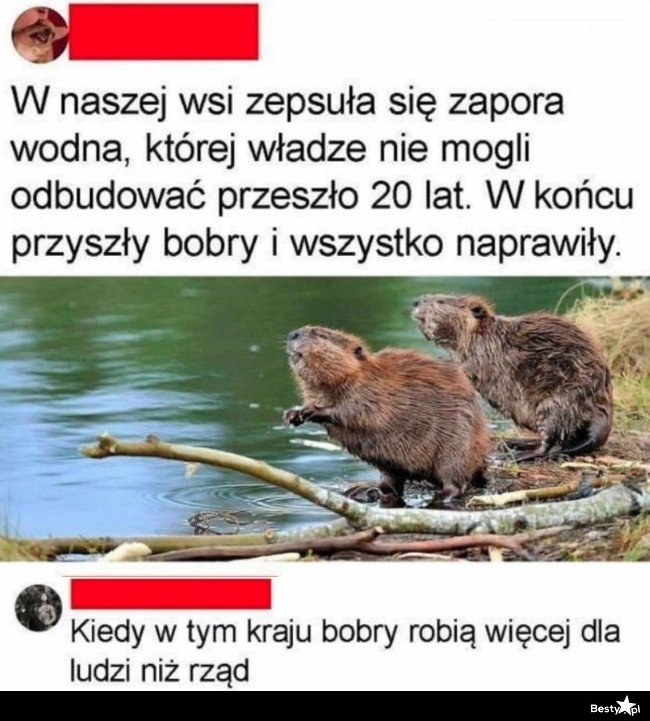 
    Bobry 