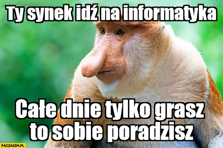 
    Ty synek idź na informatyka, całe dnie tylko grasz to sobie poradzisz typowy Polak nosacz małpa