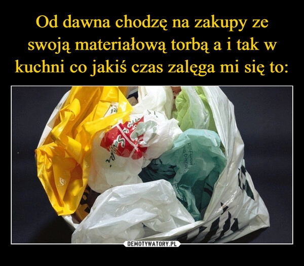 
    
Od dawna chodzę na zakupy ze swoją materiałową torbą a i tak w kuchni co jakiś czas zalęga mi się to: 