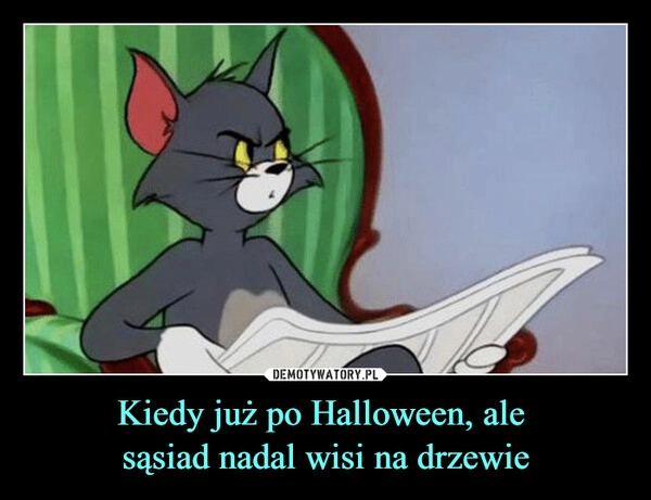 
    Kiedy już po Halloween, ale 
sąsiad nadal wisi na drzewie