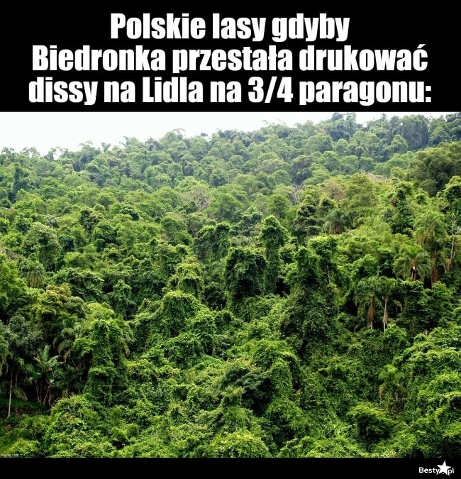 
    Mogłoby być tak pięknie! 