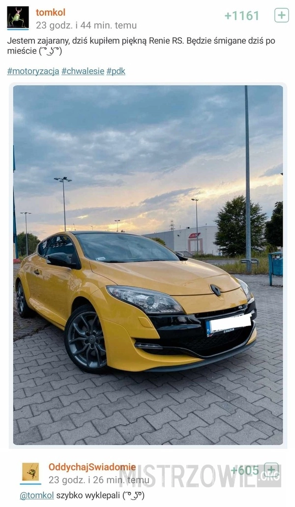 
    Żółta Megane