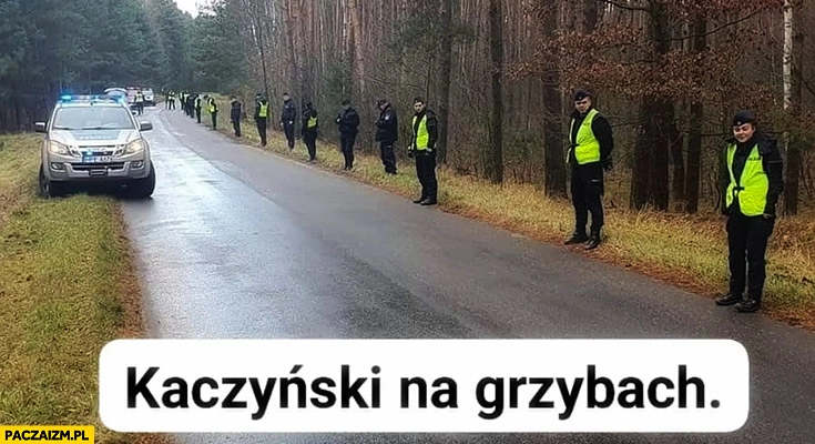 
    Kaczyński na grzybach policja otoczyła las