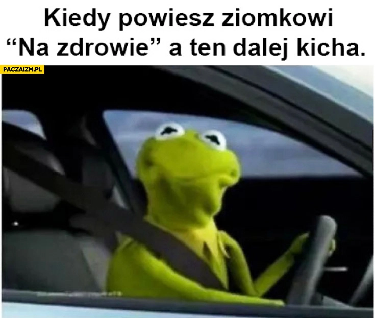 
    Kiedy powiesz ziomkowi na zdrowie a ten dalej kicha Kermit