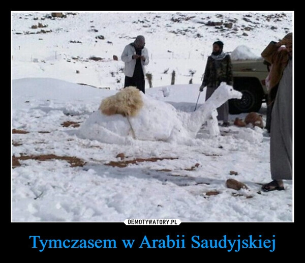 
    Tymczasem w Arabii Saudyjskiej