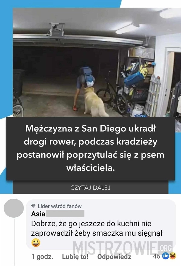 
    Przyjazny złodziej