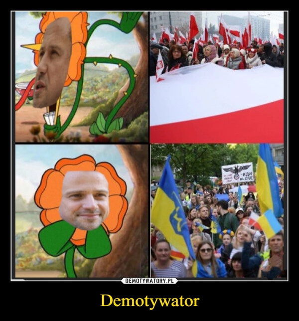 
    Demotywator