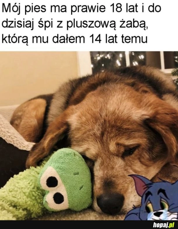 
    Wzrusz