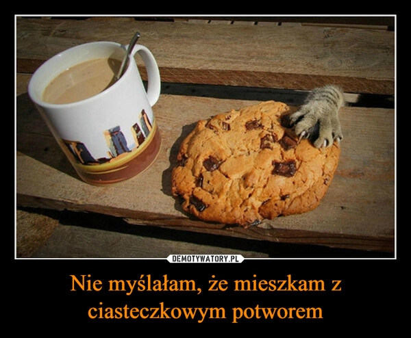 
    Nie myślałam, że mieszkam z ciasteczkowym potworem