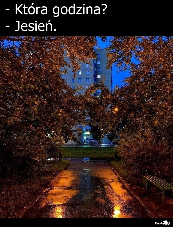 
    Jesień 