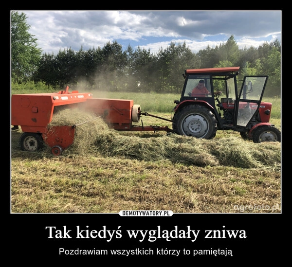 
    Tak kiedyś wyglądały zniwa