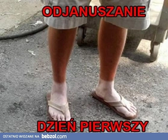 Odjanuszanie