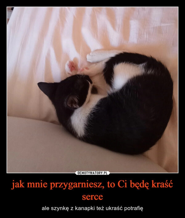 
    jak mnie przygarniesz, to Ci będę kraść serce