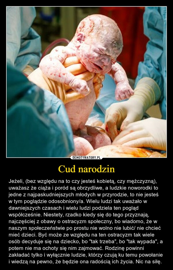 
    Cud narodzin 