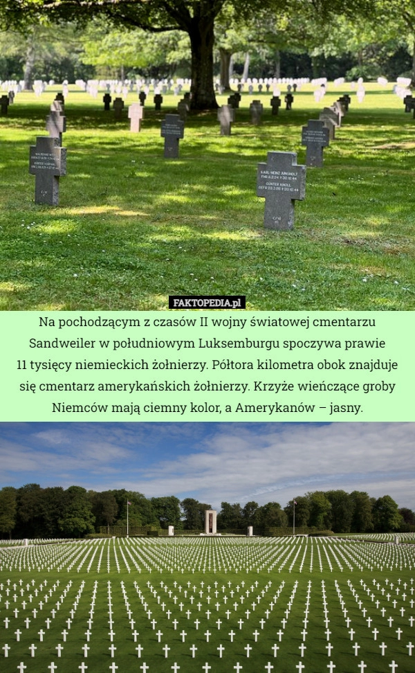 
    Na pochodzącym z czasów II wojny światowej cmentarzu Sandweiler w południowym