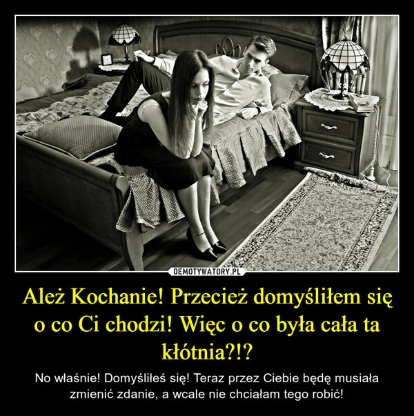 
    Ależ Kochanie! Przecież domyśliłem się o co Ci chodzi! Więc o co była cała ta kłótnia?!?