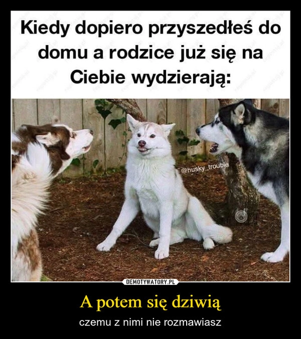 
    A potem się dziwią