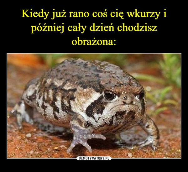 
    Kiedy już rano coś cię wkurzy i później cały dzień chodzisz obrażona: