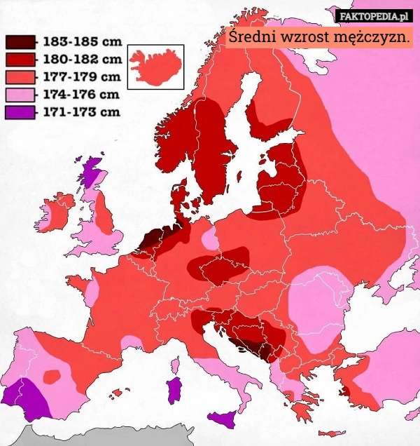 
    Średni wzrost mężczyzn.