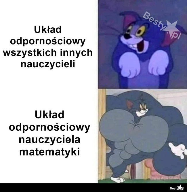 
    Układ odpornościowy 