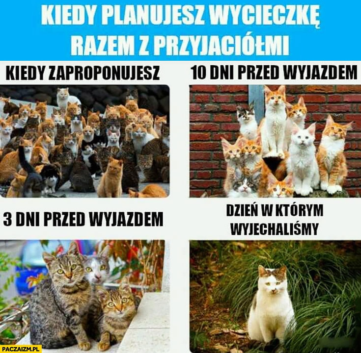 
    Kiedy planujesz wycieczkę razem z przyjaciółmi koty, kiedy zaproponujesz 10 dni przed wyjazdem, dzień w którym wyjechaliśmy