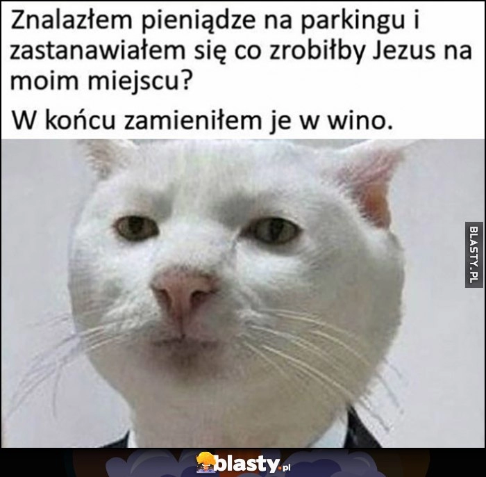 
    Kot znalazłem pieniądze na parkingu i zastanawiałem się co zrobiłby Jezus na moim miejscu? W końcu zamieniłem je w wino