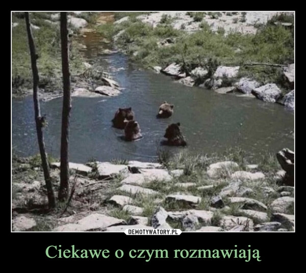 
    Ciekawe o czym rozmawiają