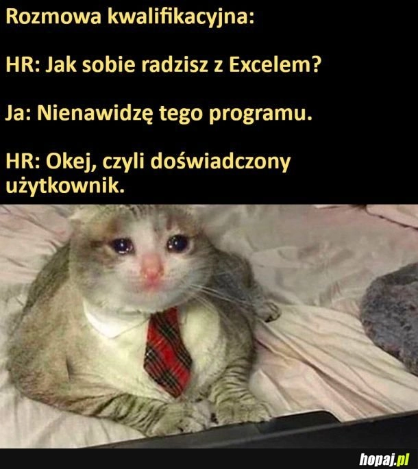 
    Excel